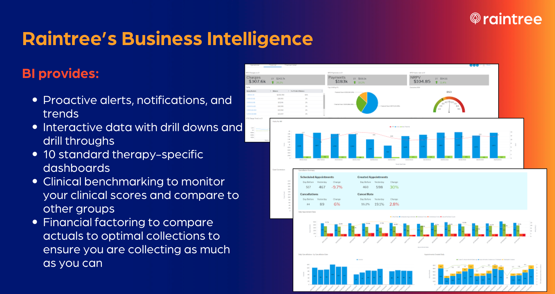 screenshot of Raintree Systems